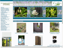 Tablet Screenshot of ceifraonline.com